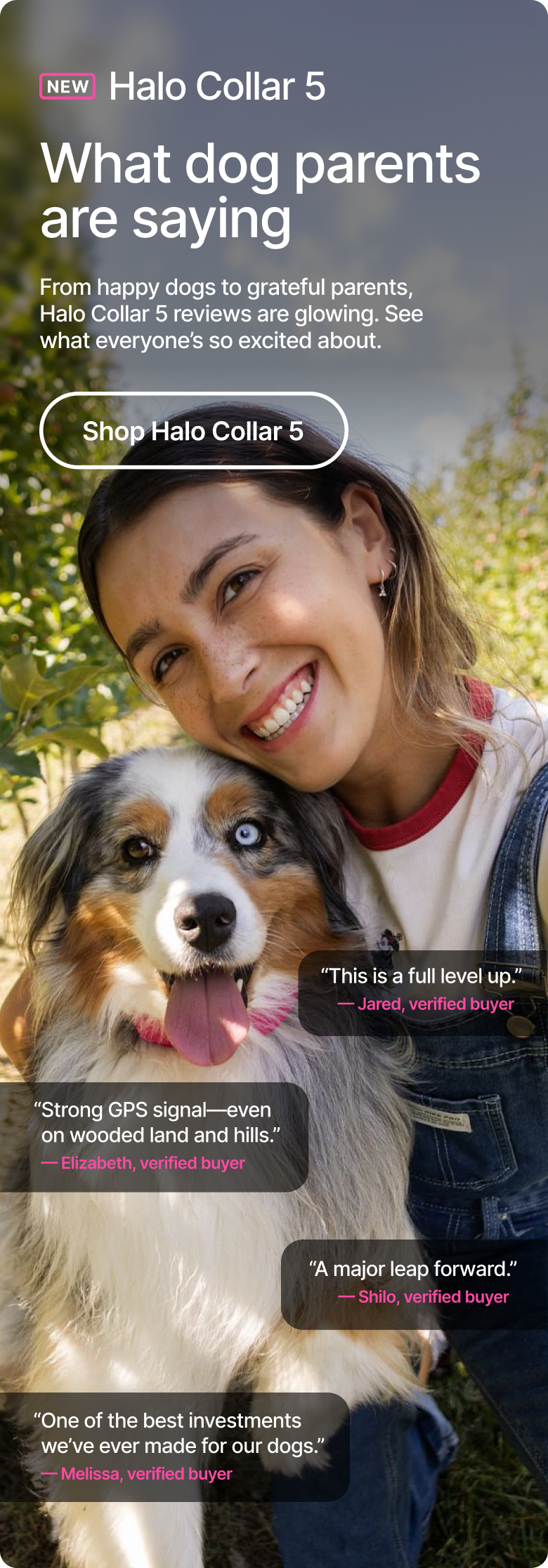 Why dog parents are switching to Halo Collar 5. From happy dogs to grateful parents, Halo Collar 5 reviews are glowing. See what everyone’s so excited about.