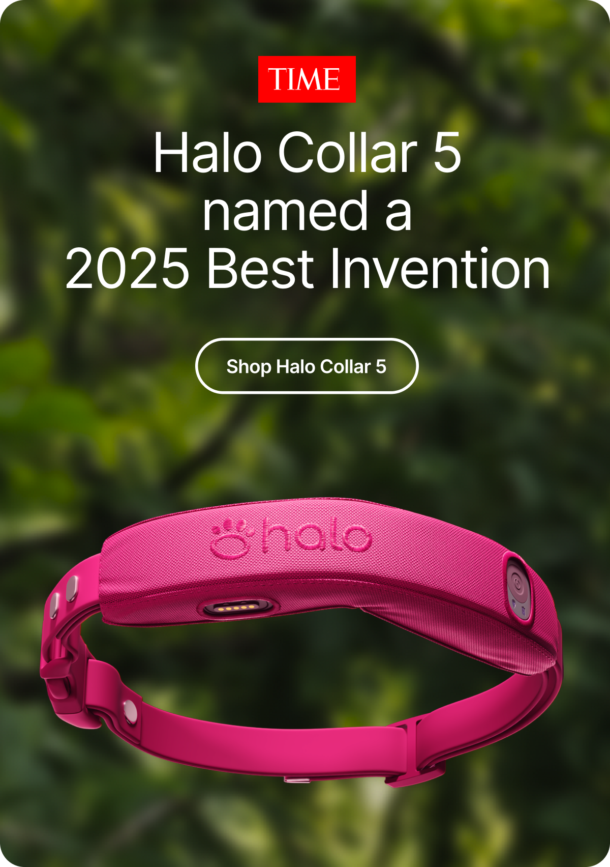 Why dog parents are switching to Halo Collar 5. From happy dogs to grateful parents, Halo Collar 5 reviews are glowing. See what everyone’s so excited about.