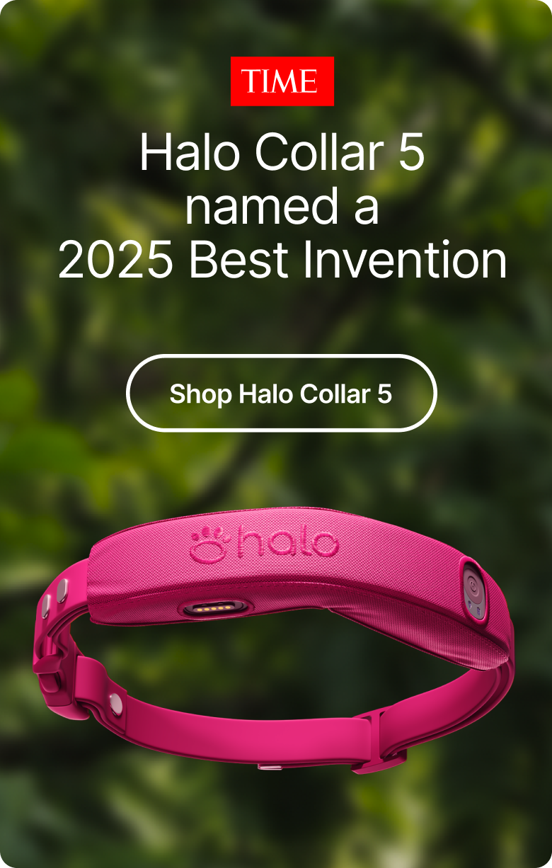 The GPS collar making national headlines. Recognized for redefining modern pet safety, Halo Collar 5 uses advanced GPS technology to create virtual fences and keep dogs safely connected wherever they roam.