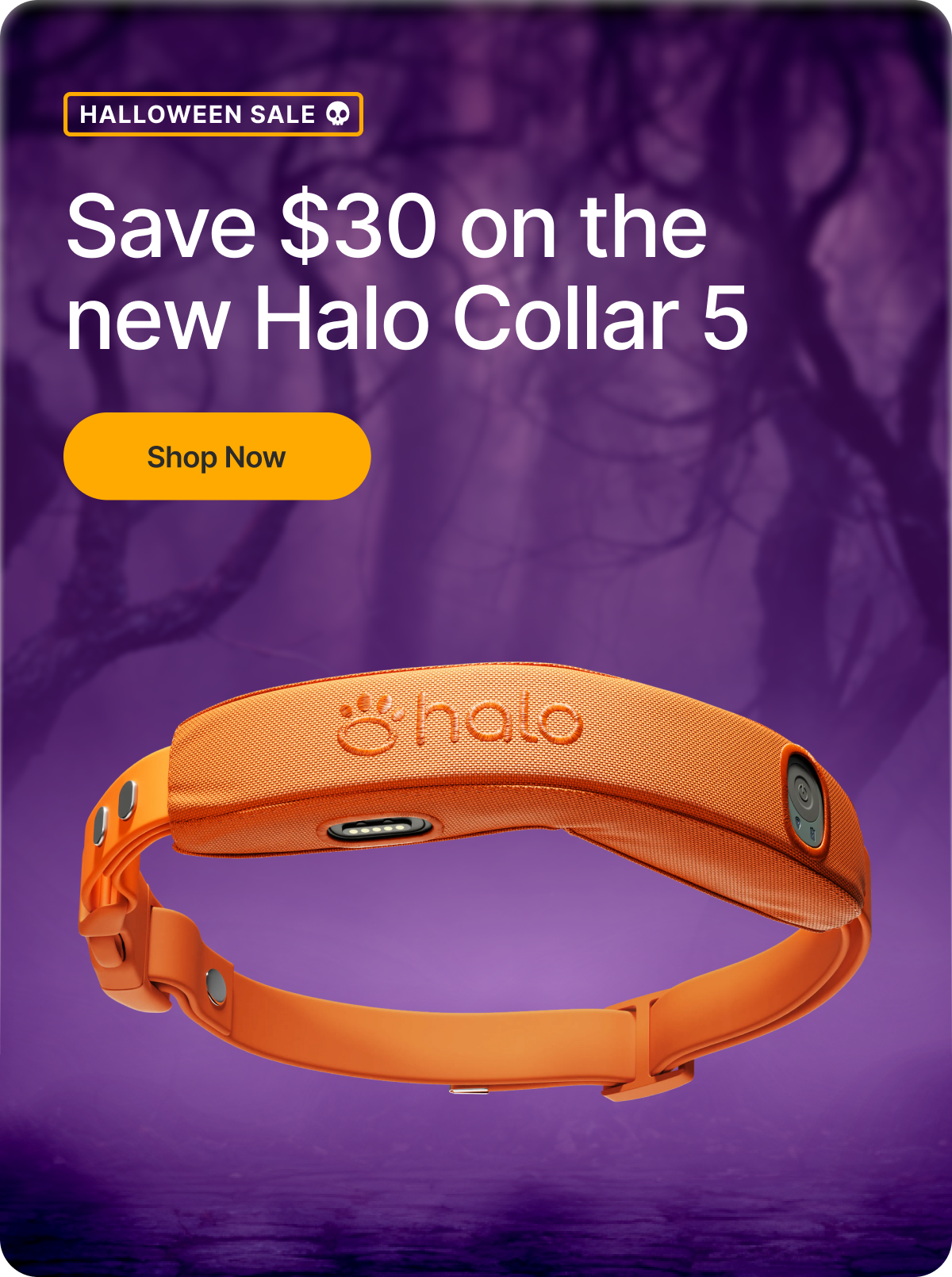 Halloween Sale is here! $30 off the new Halo Collar 5, plus safety tips for your pup this Halloween.