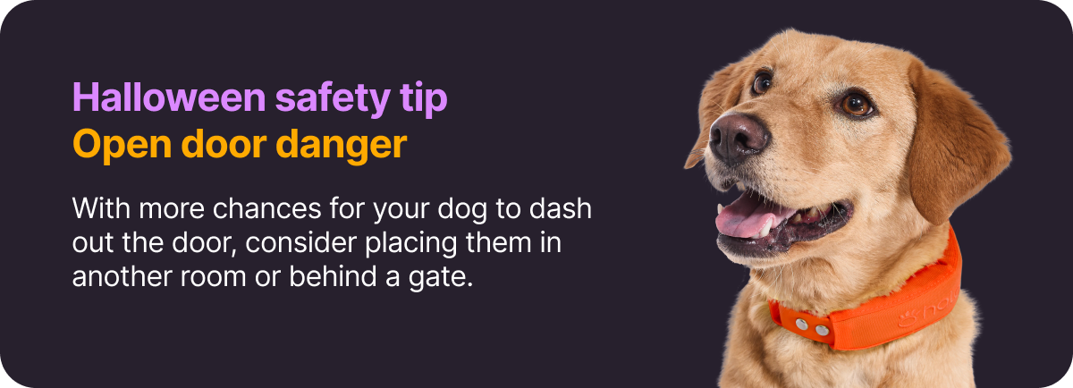 Halloween safety tip