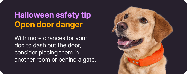 Halloween safety tip