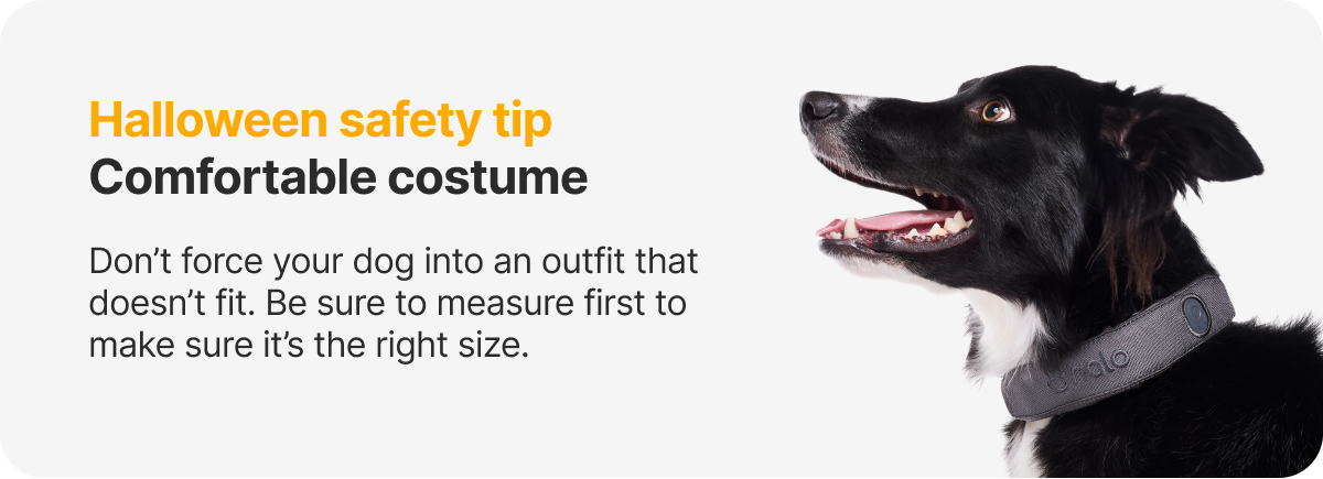 Halloween safety tip