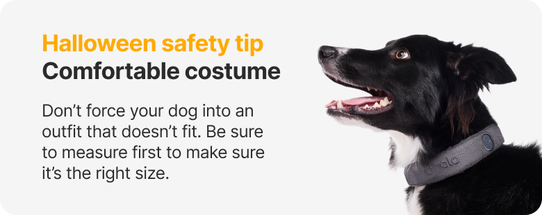 Halloween safety tip