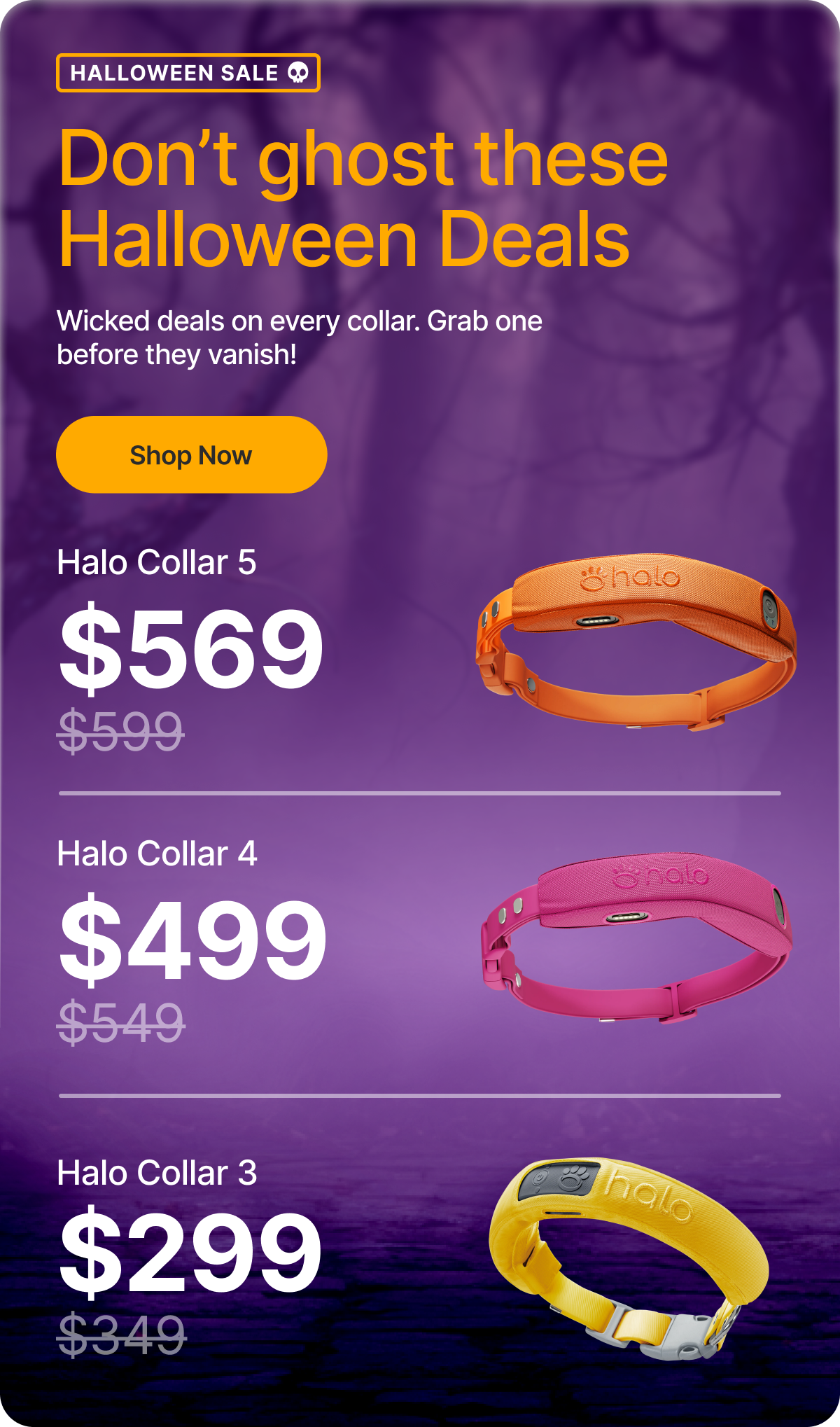 Limited-time: Save on ALL Halo Collars. Wicked deals on every collar – grab one before they vanish! Bonus: important safety tips for your pup Halloween.