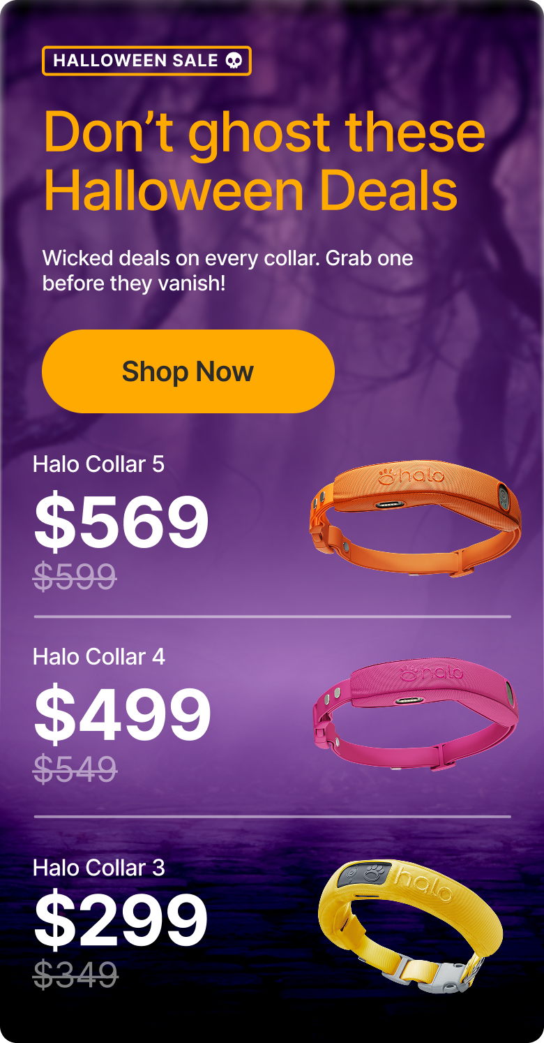Limited-time: Save on ALL Halo Collars. Wicked deals on every collar – grab one before they vanish! Bonus: important safety tips for your pup Halloween.