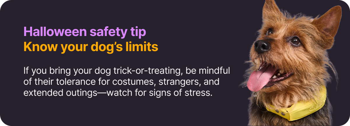 Halloween safety tip