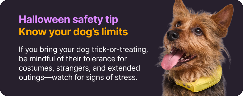 Halloween safety tip