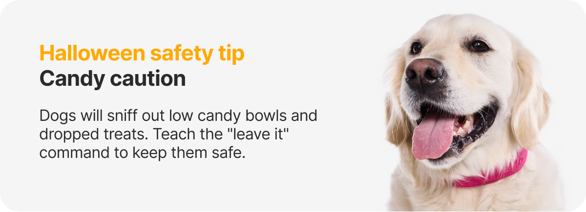 Halloween safety tip