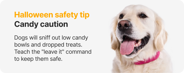 Halloween safety tip