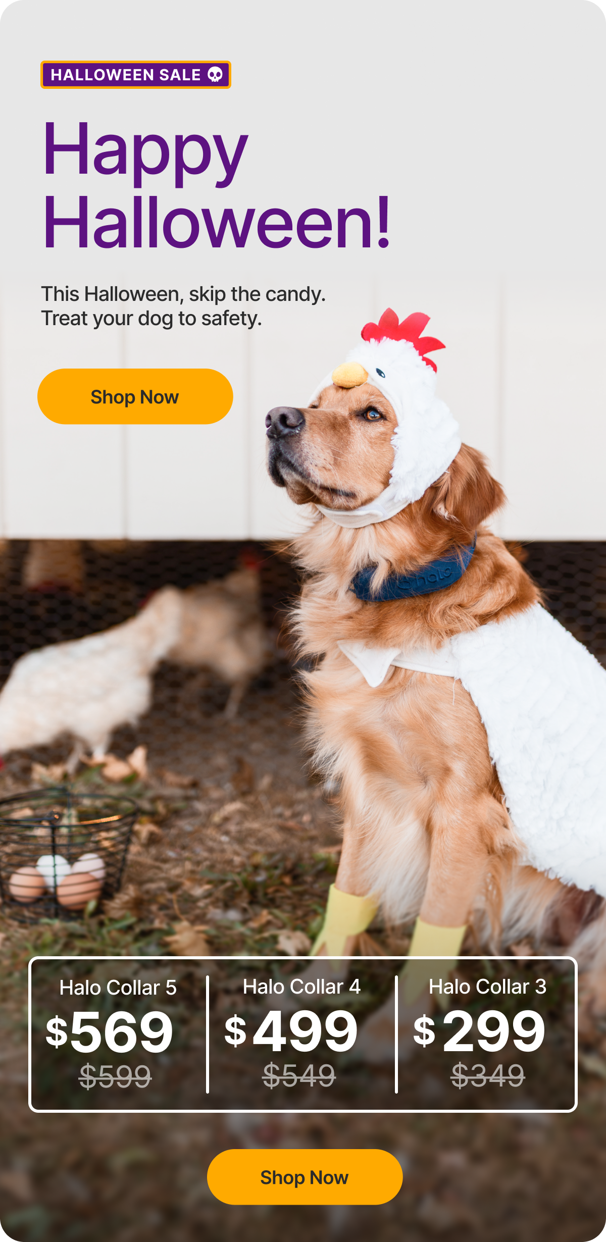 Happy Halloween – from Halo Collar! This Halloween, skip the candy. Treat your dog to safety. ALL Halo Collars are on sale for a limited time only.