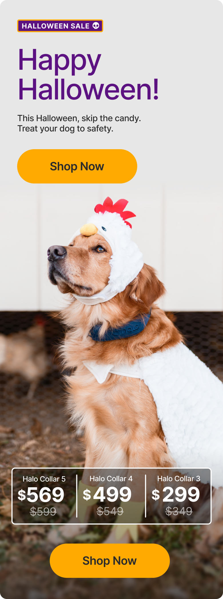 Happy Halloween – from Halo Collar! This Halloween, skip the candy. Treat your dog to safety. ALL Halo Collars are on sale for a limited time only.