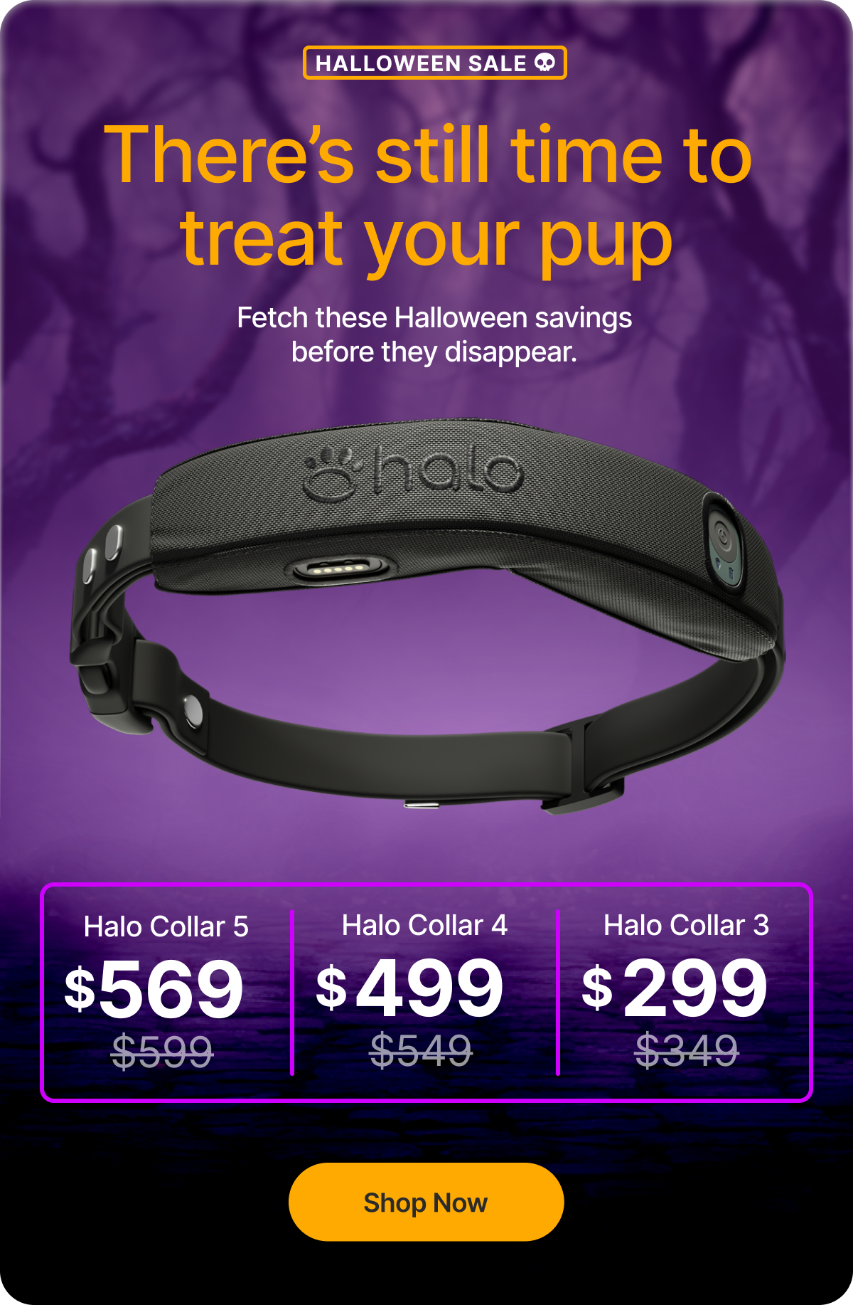 Halo Collars for as low as $299 – ending soon! There’s still time to treat your pup! Fetch these Halloween savings before they disappear. 