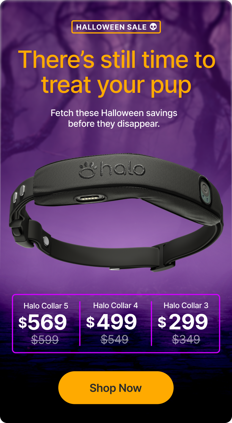 Halo Collars for as low as $299 – ending soon! There’s still time to treat your pup! Fetch these Halloween savings before they disappear. 