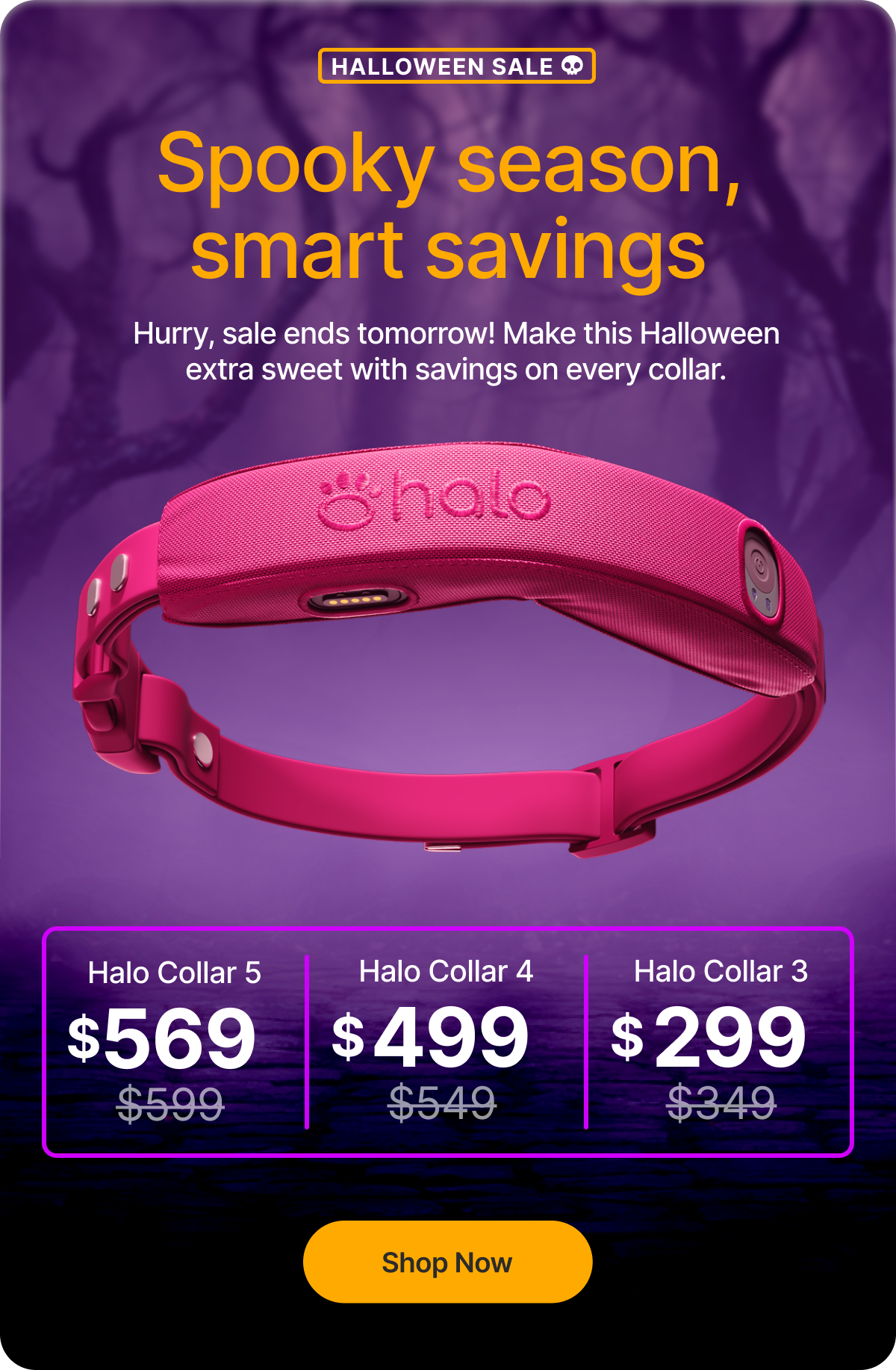 Halloween Sale is here! $30 off the new Halo Collar 5, plus safety tips for your pup this Halloween.