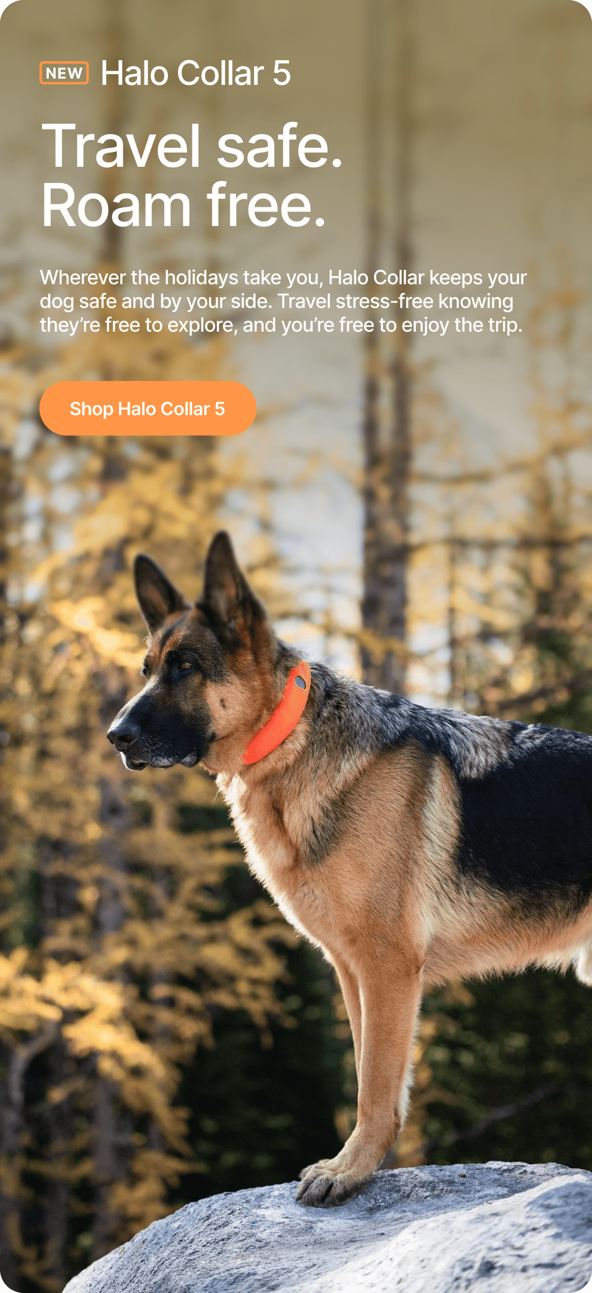Go anywhere. Stay connected. Wherever the holidays take you, Halo Collar keeps your dog safe and by your side. You can travel stress-free knowing they’re free to explore, and you’re free to enjoy the trip.