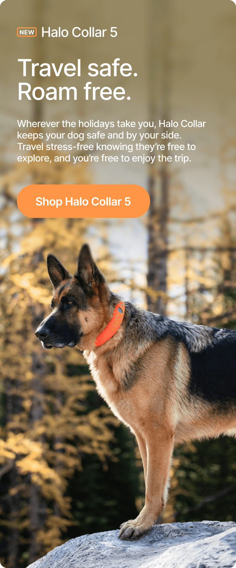 Go anywhere. Stay connected. Wherever the holidays take you, Halo Collar keeps your dog safe and by your side. You can travel stress-free knowing they’re free to explore, and you’re free to enjoy the trip.