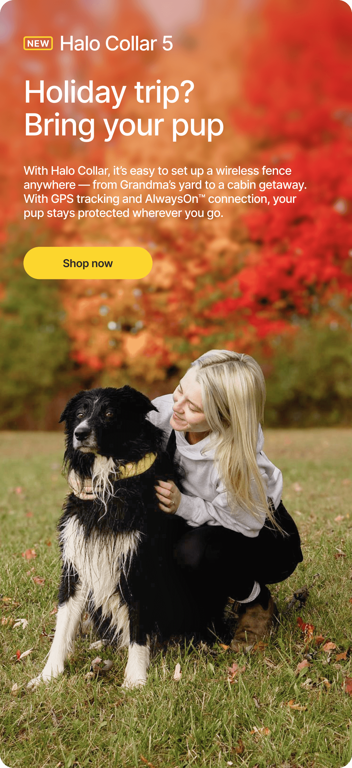 Travel smart this holiday season with Halo Collar. It is easy to set up a wireless fence anywhere — from Grandma’s yard to a cabin getaway. With GPS tracking and AlwaysOn connection, your pup stays protected wherever you go.