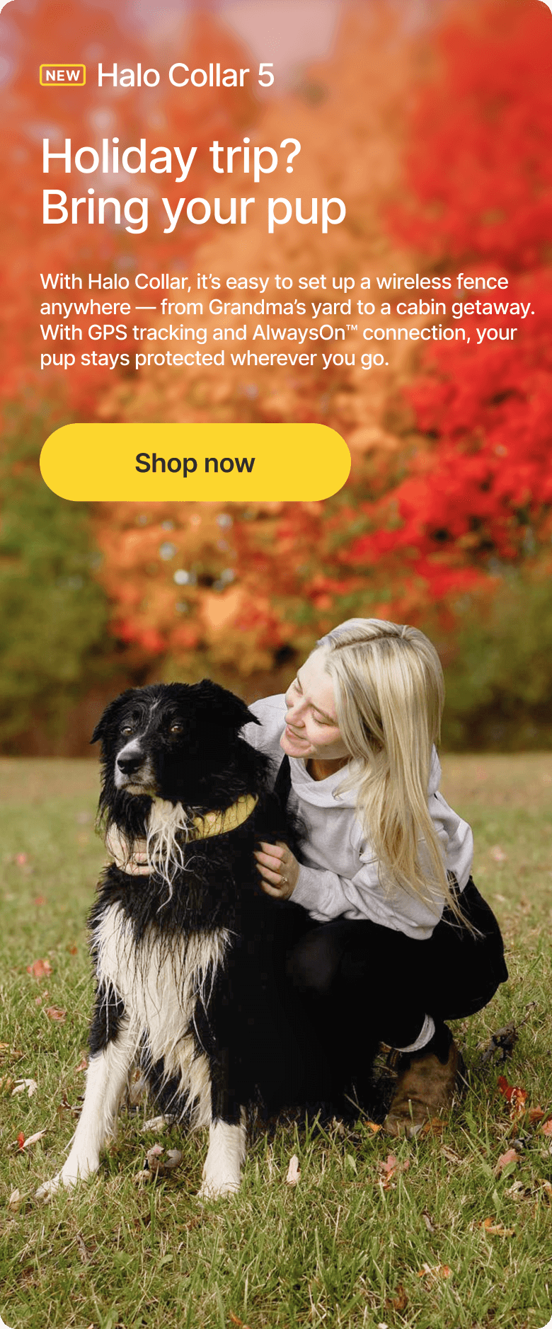 Travel smart this holiday season with Halo Collar. It is easy to set up a wireless fence anywhere — from Grandma’s yard to a cabin getaway. With GPS tracking and AlwaysOn connection, your pup stays protected wherever you go.