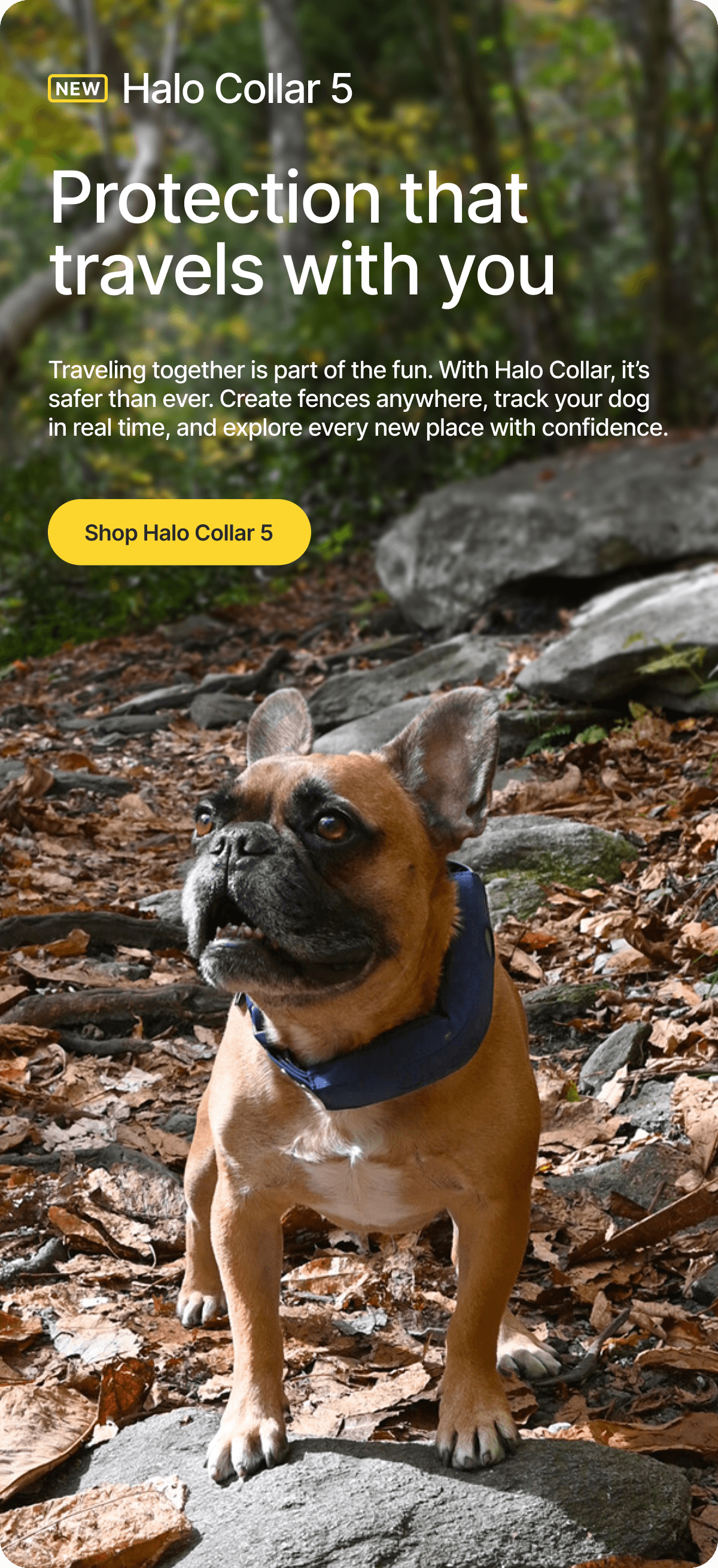 New places, same peace of mind. Traveling together is part of the fun. With Halo Collar, it’s safer than ever. Create fences anywhere, track your dog in real time, and explore every new place with confidence.