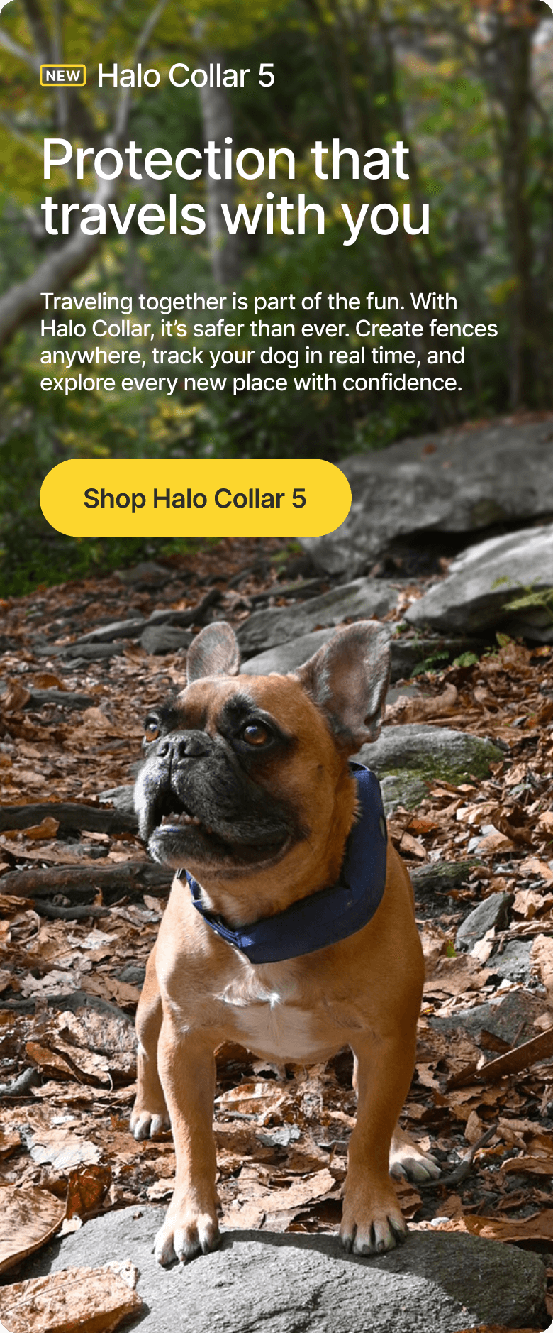 New places, same peace of mind. Traveling together is part of the fun. With Halo Collar, it’s safer than ever. Create fences anywhere, track your dog in real time, and explore every new place with confidence.