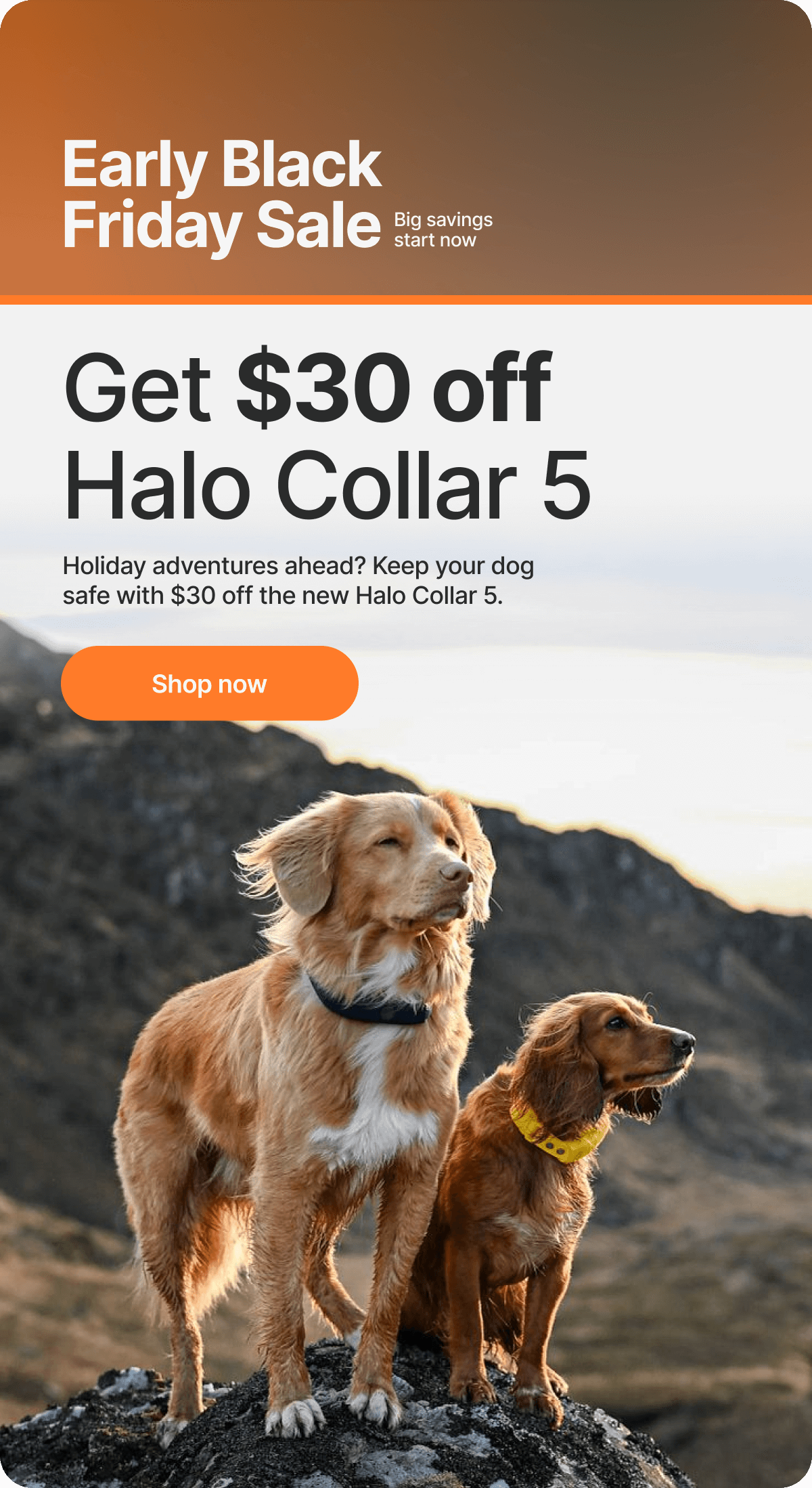 Early Black Friday savings start now! Holiday adventures ahead? Keep your dog safe with $30 off the new Halo Collar 5.