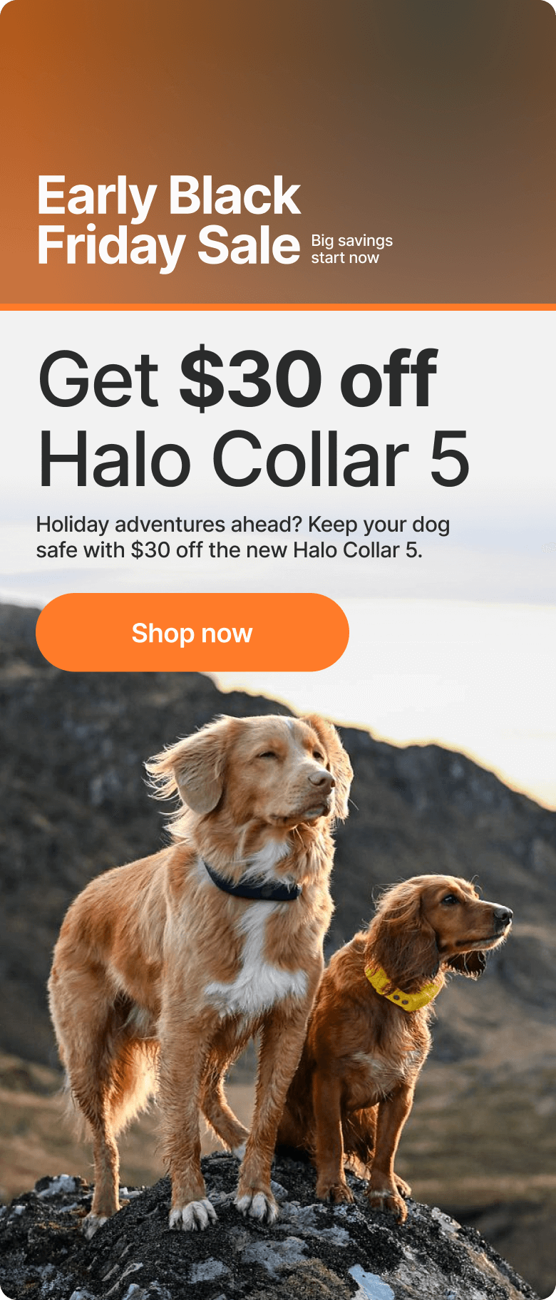 Early Black Friday savings start now! Holiday adventures ahead? Keep your dog safe with $30 off the new Halo Collar 5.