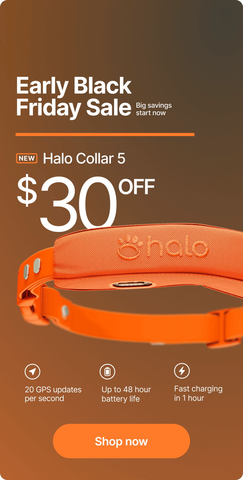 This weekend only: $30 off for Early Black Friday. Act quick! All Halo Collars are discounted this weekend for Early Black Friday.