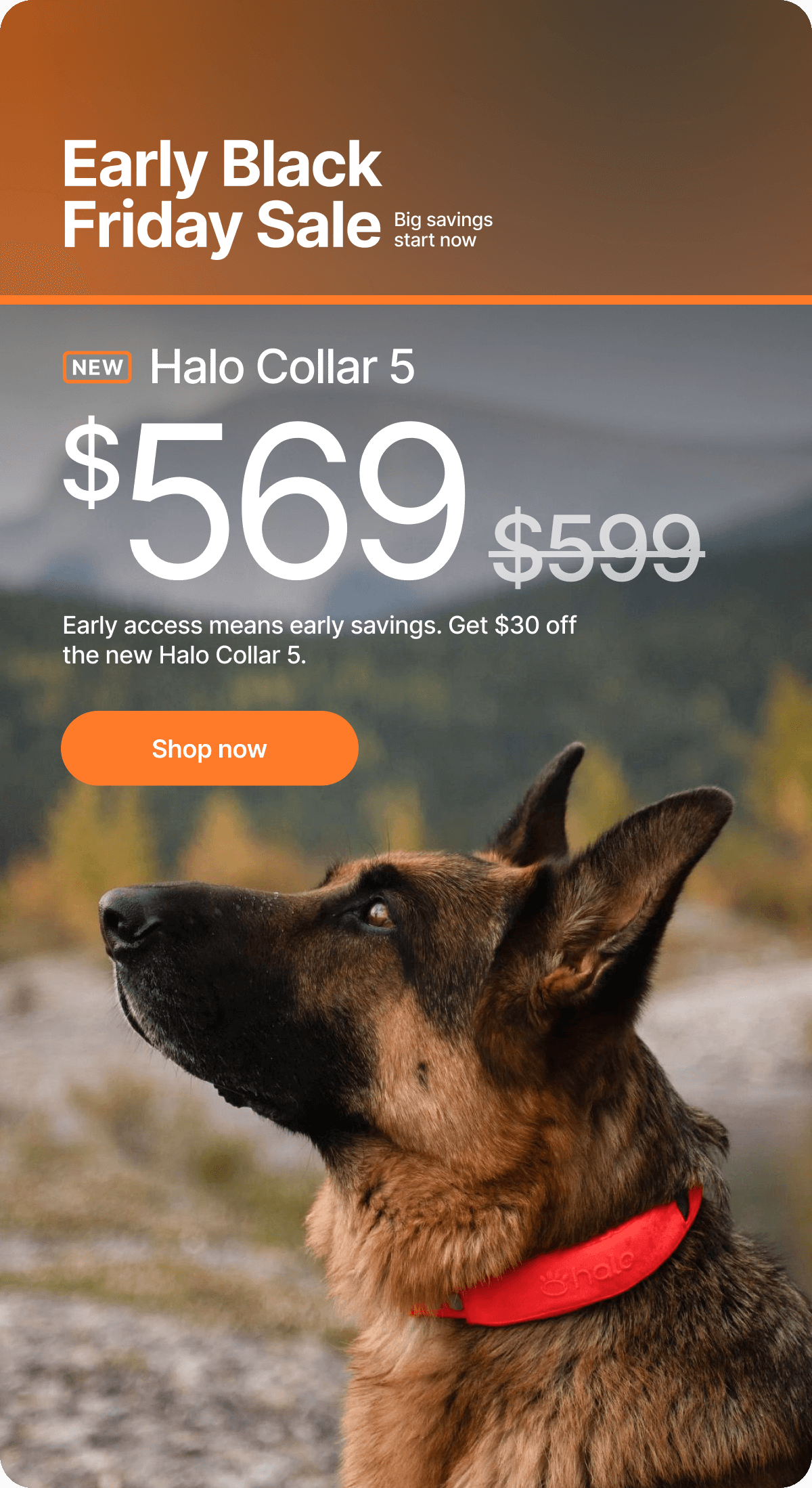Final call! $30 off ends today. Early access means early savings. Get $30 off the new Halo Collar 5.