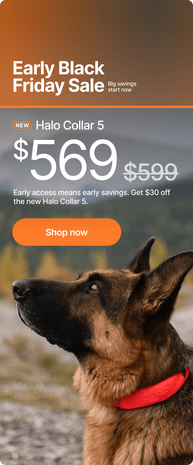 Final call! $30 off ends today. Early access means early savings. Get $30 off the new Halo Collar 5.