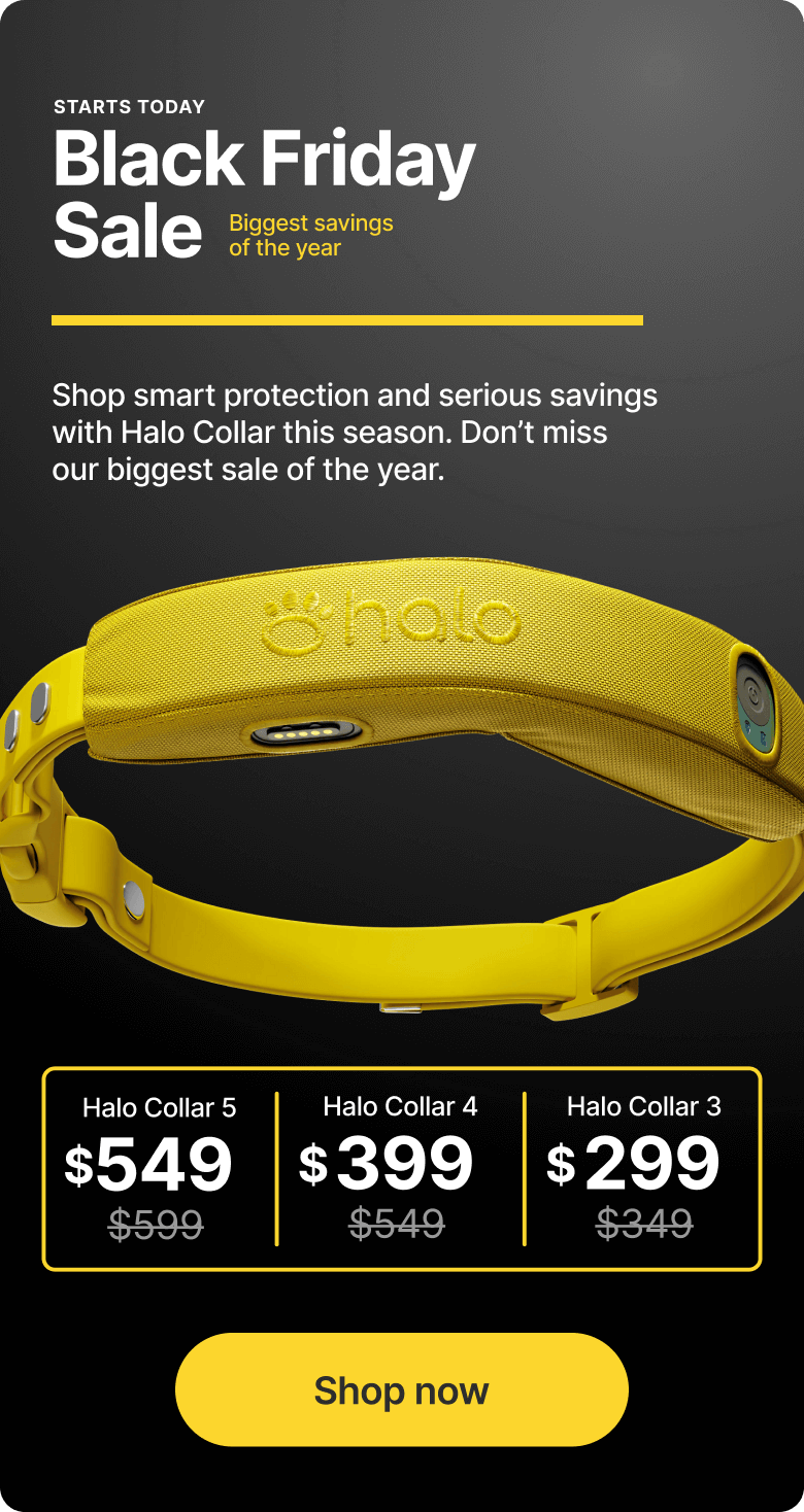 Black Friday starts NOW! Big discounts on all Halo Collars. Shop smart protection and serious savings with Halo Collar this season. Don’t miss our biggest sale of the year.