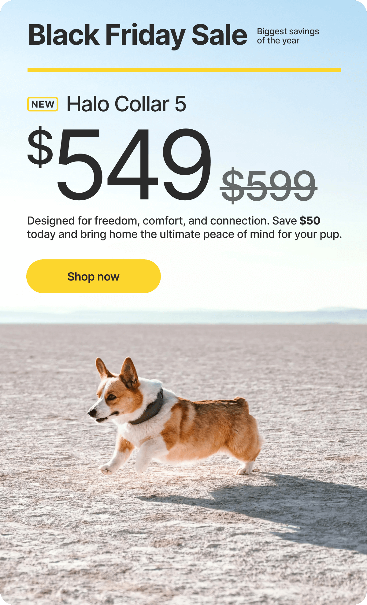 Huge savings! $50 off - Black Friday Sale. Designed for freedom, comfort, and connection. Save $50 today and bring home the ultimate peace of mind for your pup.