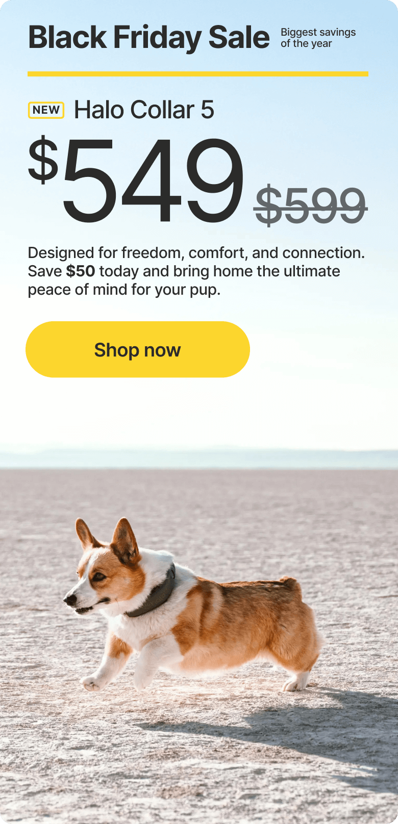 Huge savings! $50 off - Black Friday Sale. Designed for freedom, comfort, and connection. Save $50 today and bring home the ultimate peace of mind for your pup.