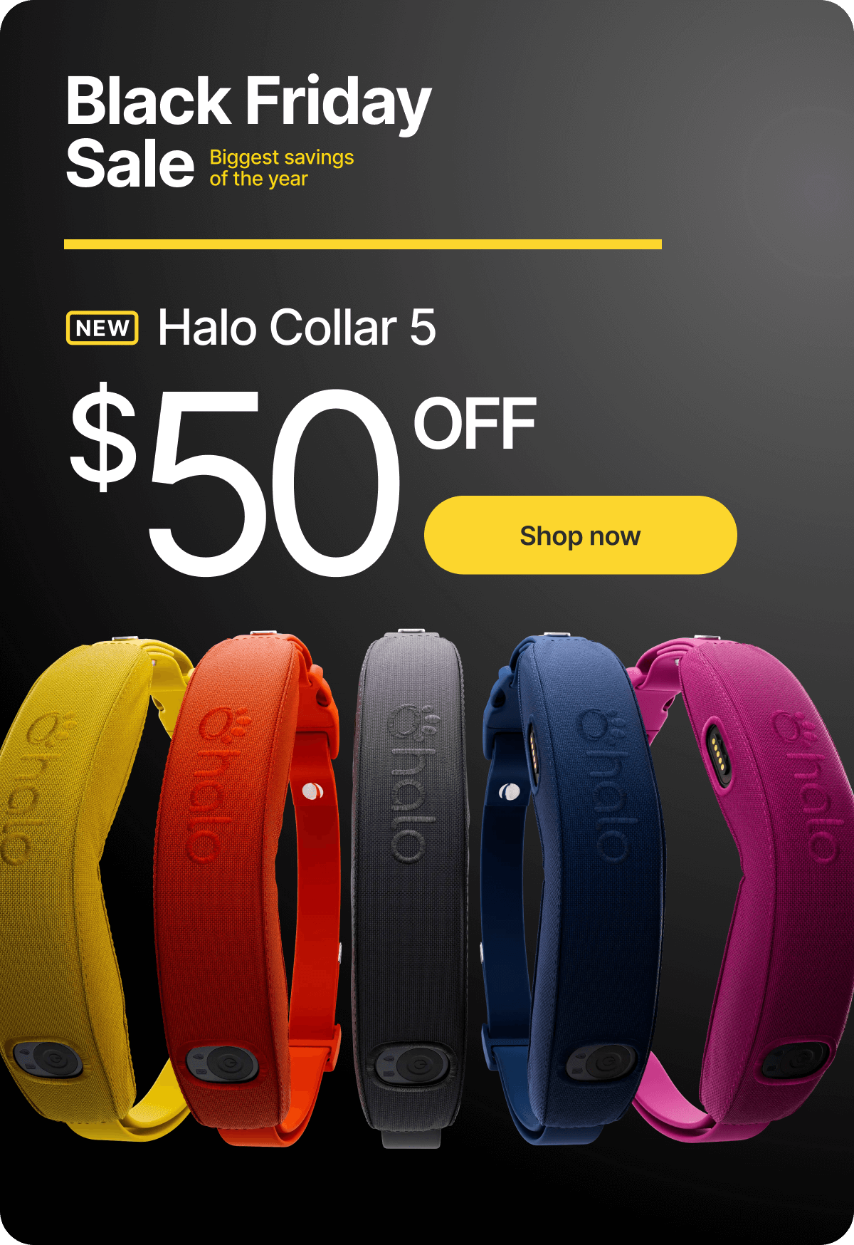 A holiday gift your pup will love. Save $50 on Halo Collar 5. Black Friday Sale! This is your moment to get the Halo Collar 5. Enjoy our lowest price of the year and give your dog safe freedom everywhere you go.