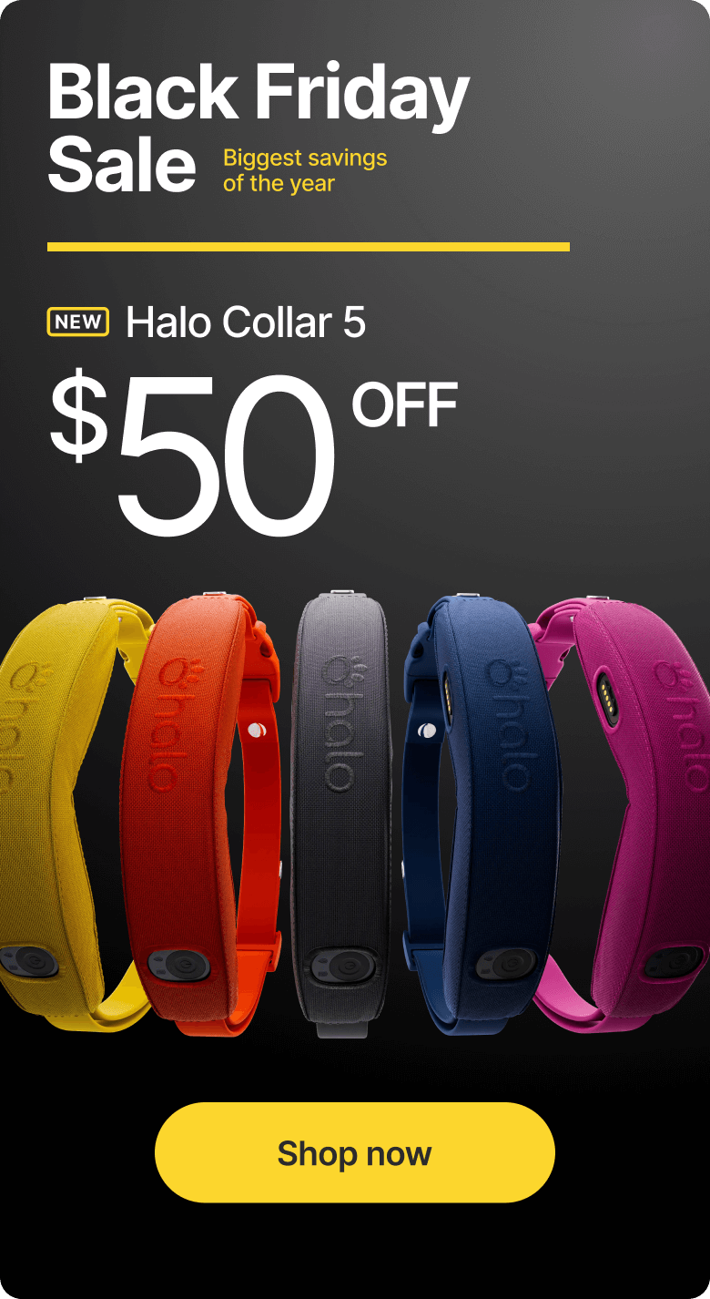 A holiday gift your pup will love. Save $50 on Halo Collar 5. Black Friday Sale! This is your moment to get the Halo Collar 5. Enjoy our lowest price of the year and give your dog safe freedom everywhere you go.
