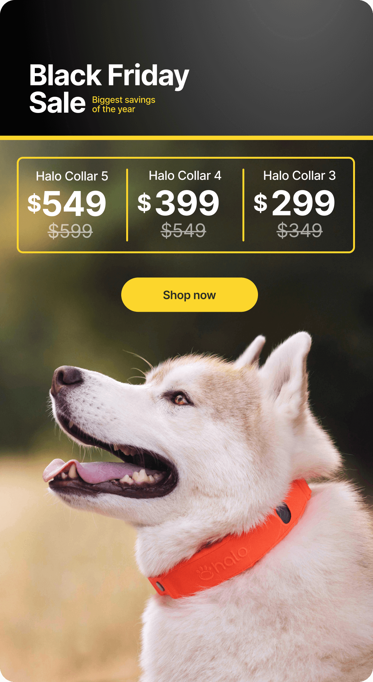 Halo Collar for as low as $299! Halo Collar is discounted site-wide for Black Friday! Shop Halo Collar 3 for as low as $299 or Halo Collar 4 for only $399. 
