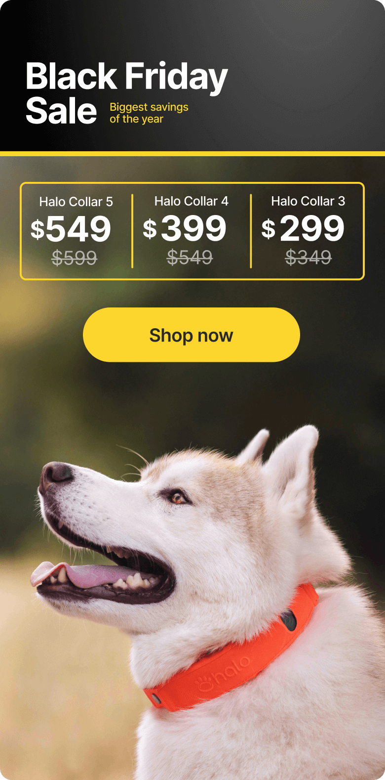 Halo Collar for as low as $299! Halo Collar is discounted site-wide for Black Friday! Shop Halo Collar 3 for as low as $299 or Halo Collar 4 for only $399. 