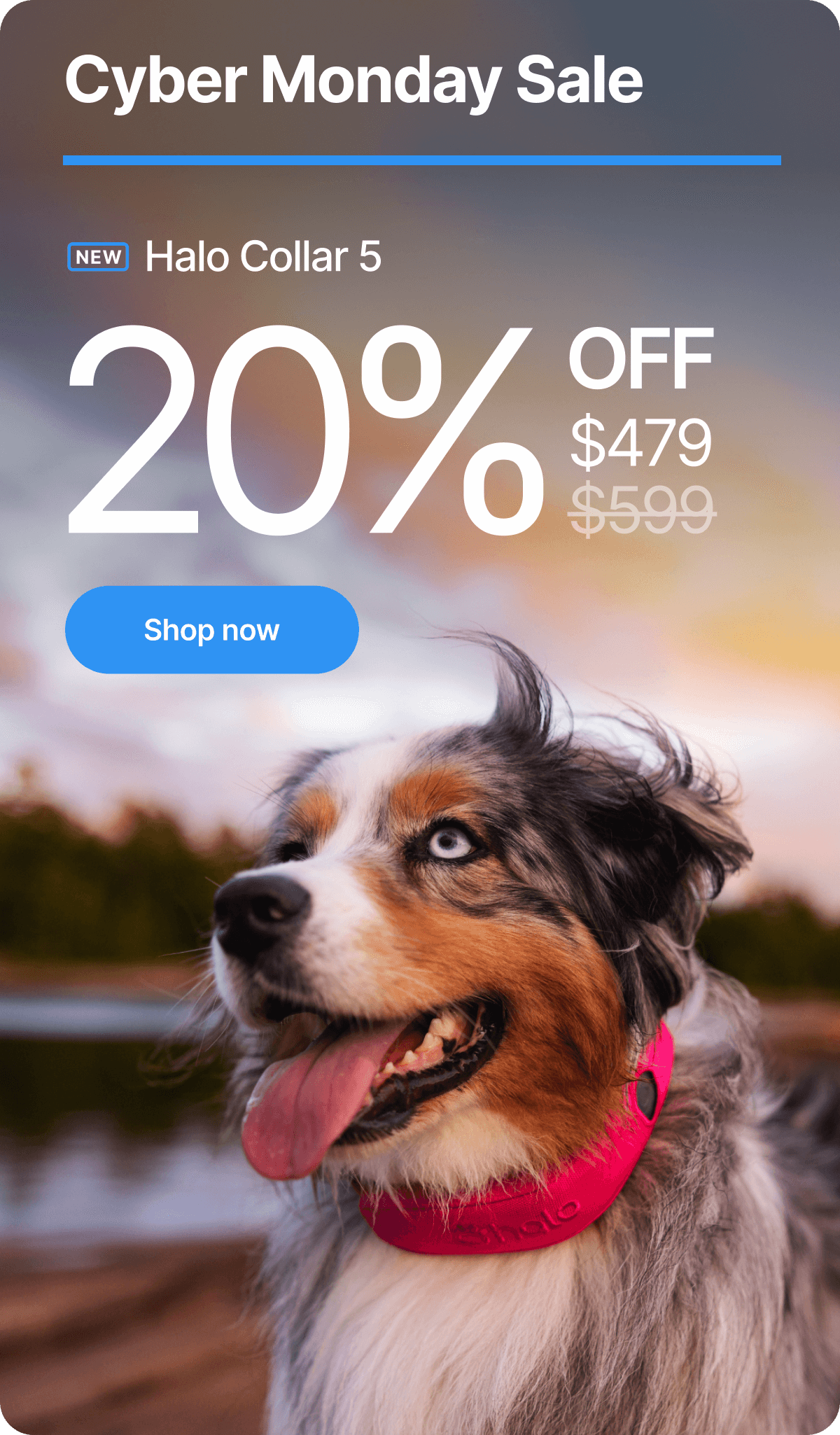 Lowest price ever! Save 20% on Halo Collar. Sale ends soon on the biggest savings of the year. Halo Collar 5 is 20% off, bringing powerful GPS protection at our lowest price yet.