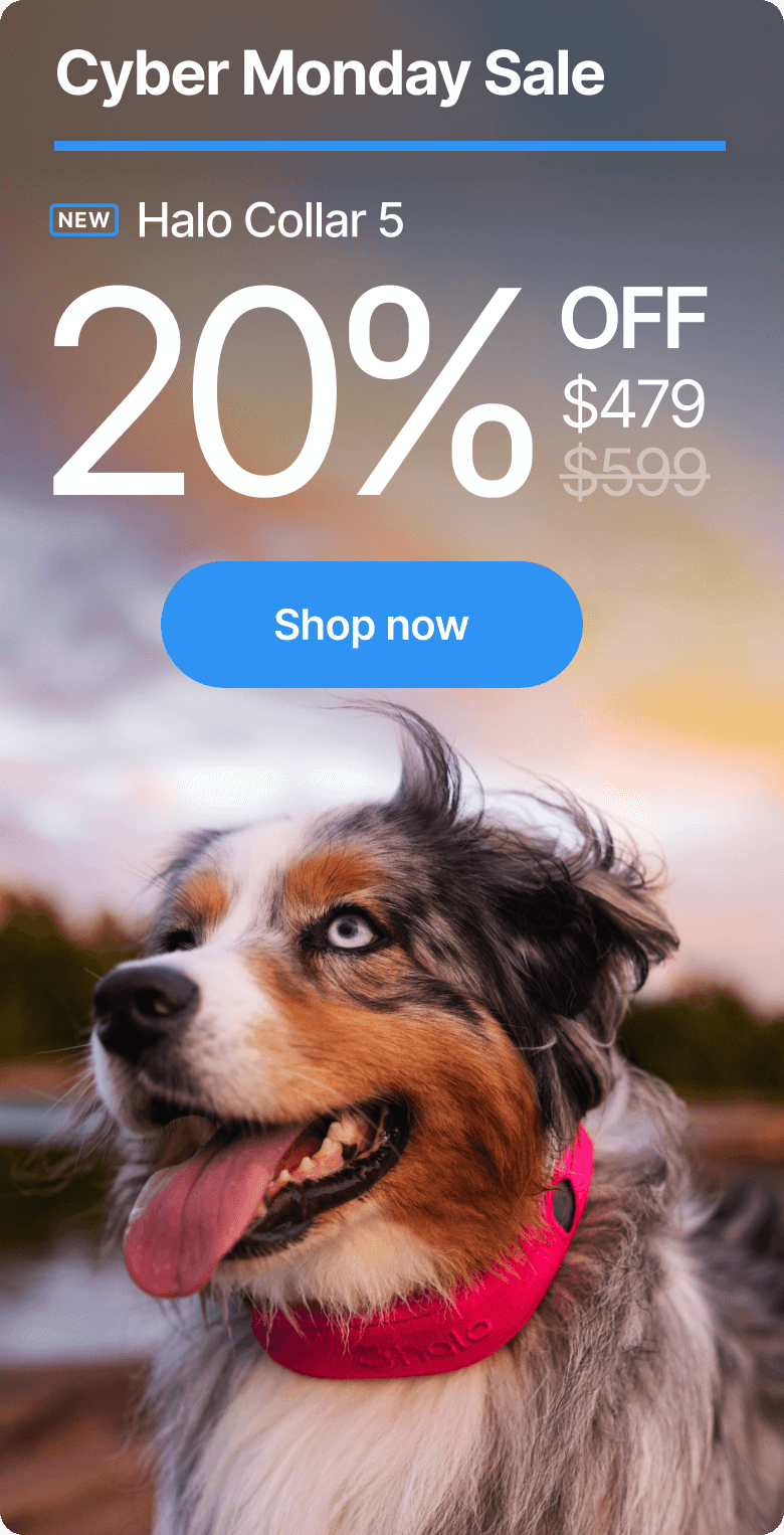 Lowest price ever! Save 20% on Halo Collar. Sale ends soon on the biggest savings of the year. Halo Collar 5 is 20% off, bringing powerful GPS protection at our lowest price yet.
