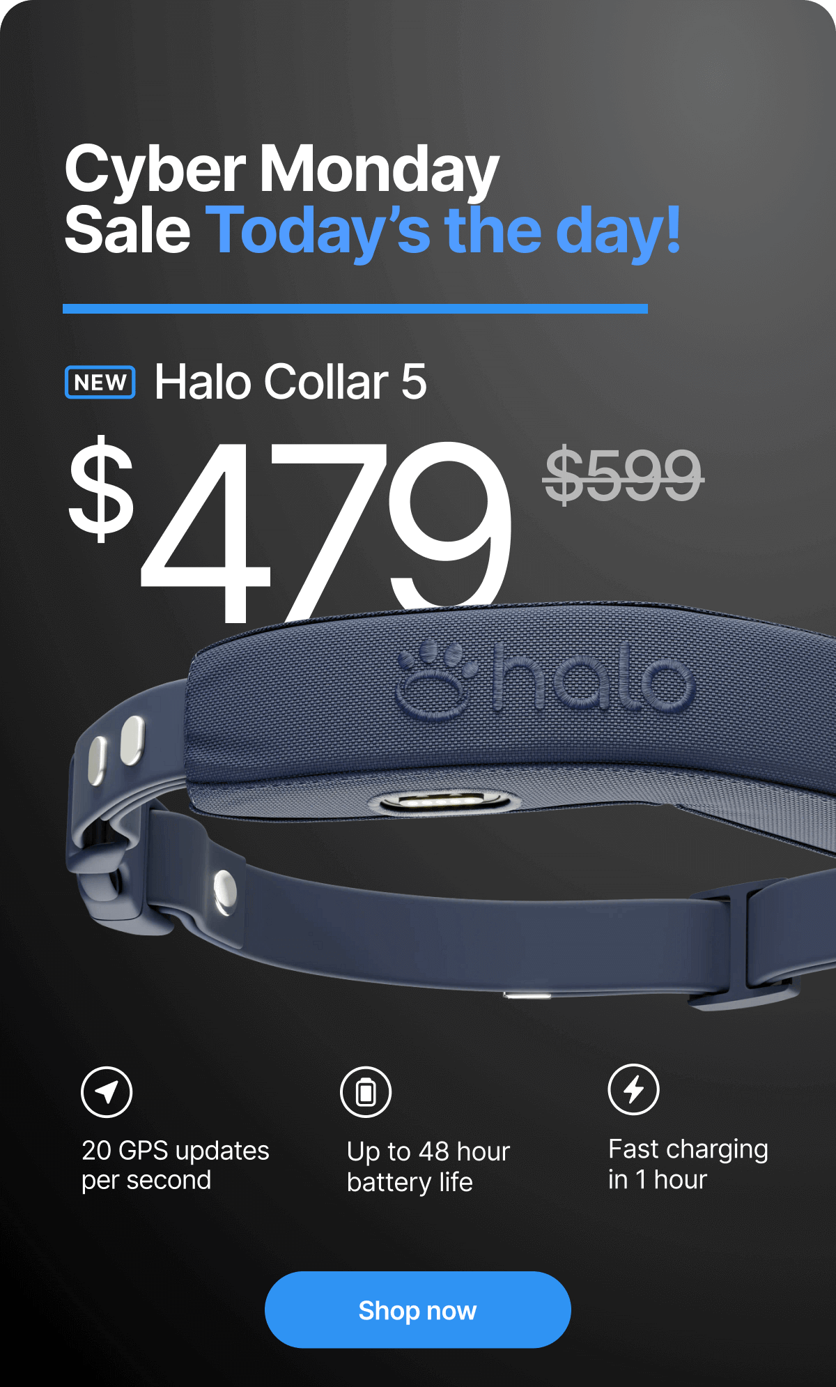 ⚡20% Off for Cyber Monday – last chance! Last chance! This offer ends today—20% off Halo Collar 5. Upgrade your dog’s safety today with the most advanced protection we’ve ever engineered.