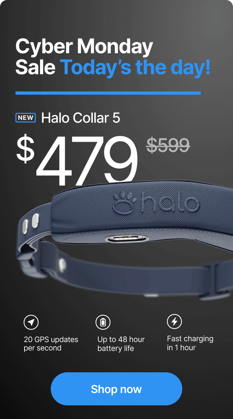 ⚡20% Off for Cyber Monday – last chance! Last chance! This offer ends today—20% off Halo Collar 5. Upgrade your dog’s safety today with the most advanced protection we’ve ever engineered.