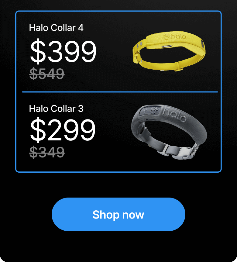⚡20% Off for Cyber Monday – last chance! Last chance! This offer ends today—20% off Halo Collar 5. Upgrade your dog’s safety today with the most advanced protection we’ve ever engineered.