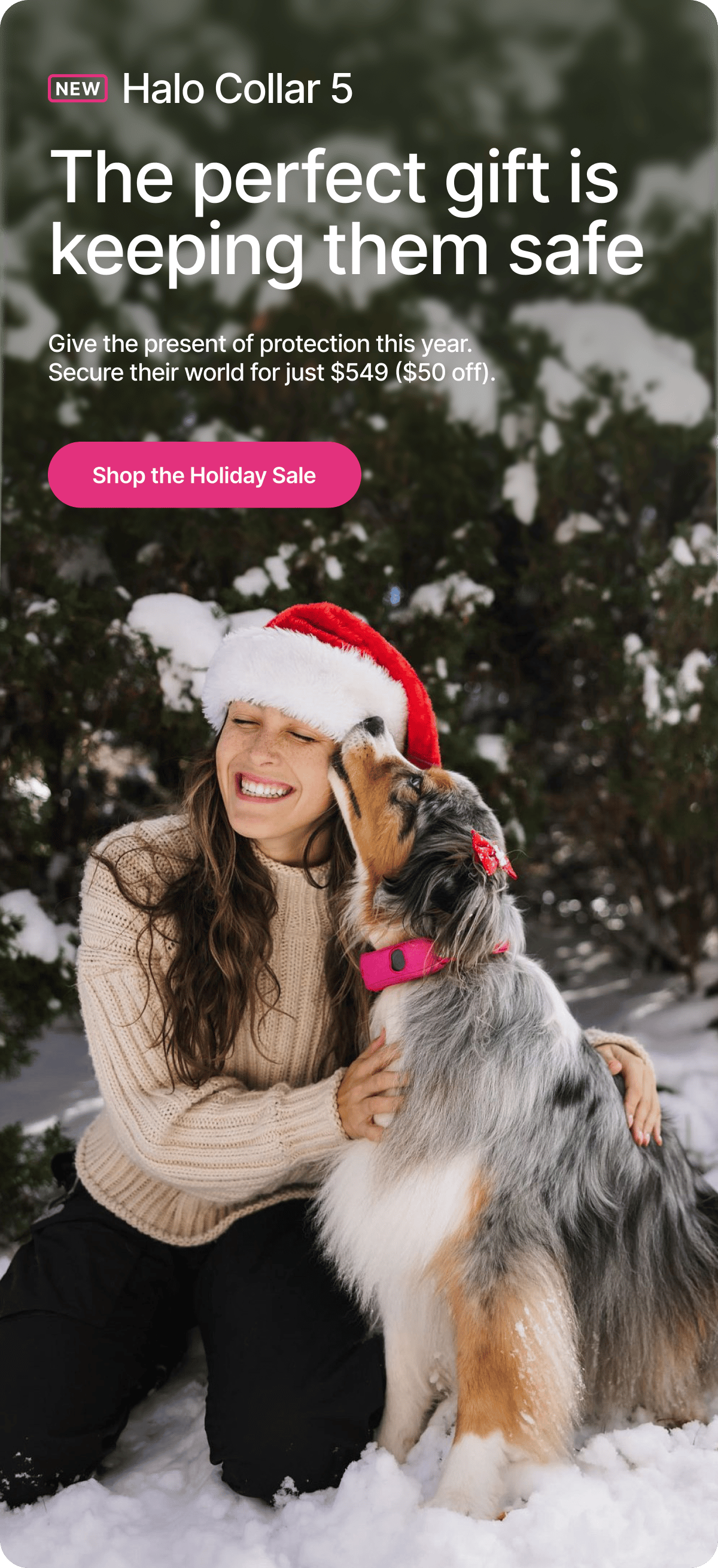 The gift any dog-lover needs, now $50 off. Give the present of protection this year. Secure their world for just $549 ($50 off).