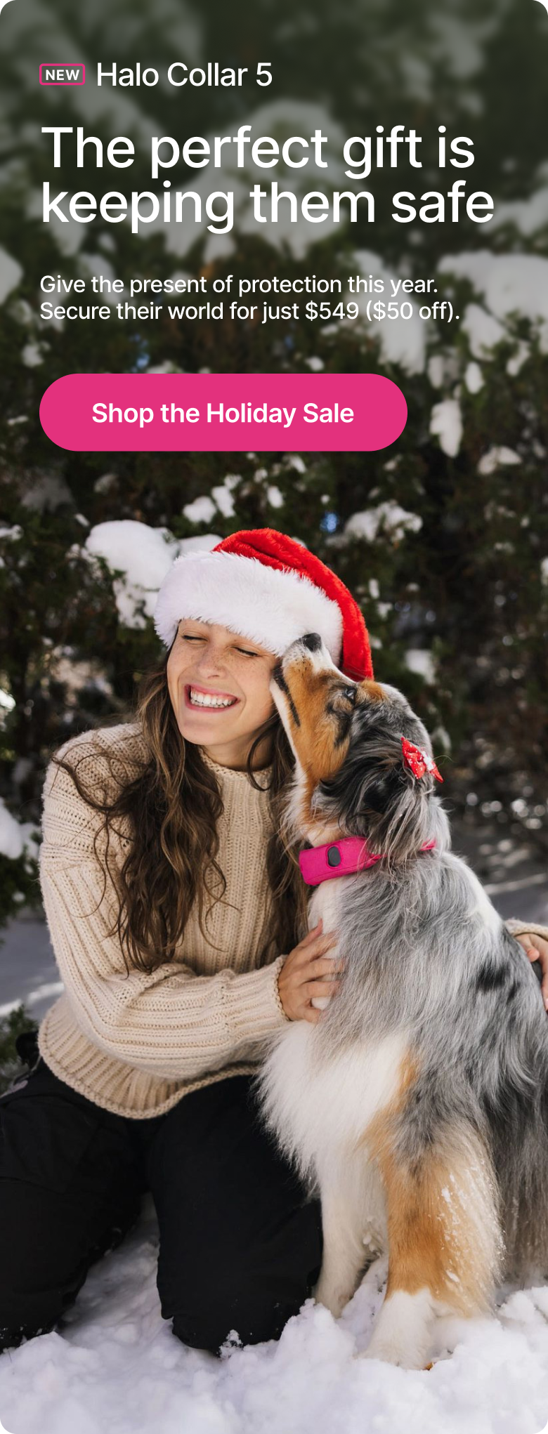 The gift any dog-lover needs, now $50 off. Give the present of protection this year. Secure their world for just $549 ($50 off).