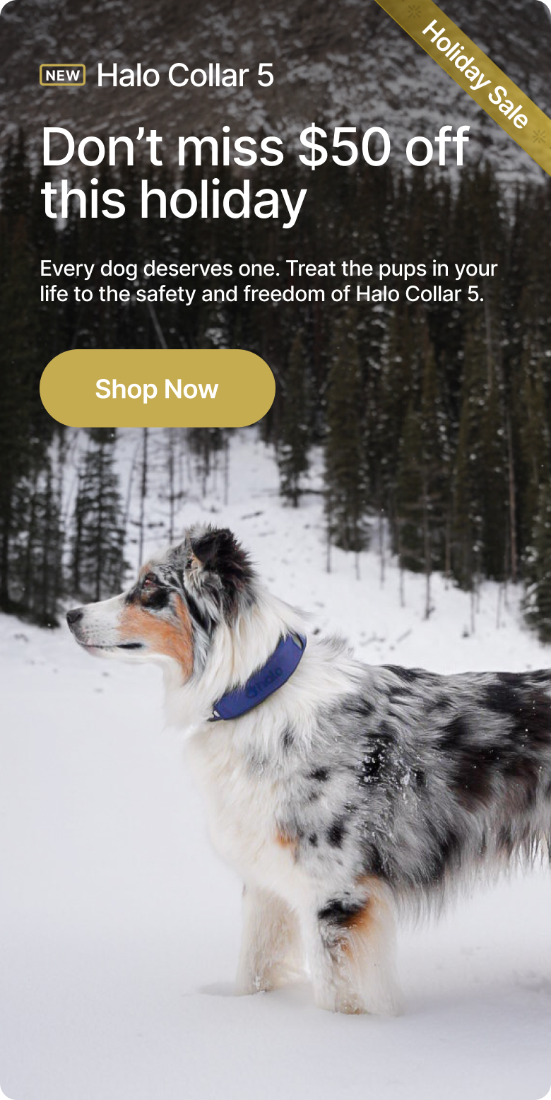 Holiday Savings are here — $50 off Halo Collar 5! Every dog deserves one. Treat the pups in your life to the safety and freedom of Halo Collar 5. Order by Thursday to receive it by Christmas! 