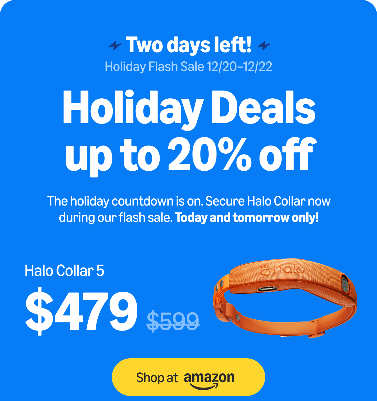 20% off Halo Collar 5: holiday flash sale ends soon. Order on Amazon for delivery by Christmas. Secure Halo Collar 5 at 20% off during our flash sale, today and tomorrow only. Don’t miss our lowest price of the season.