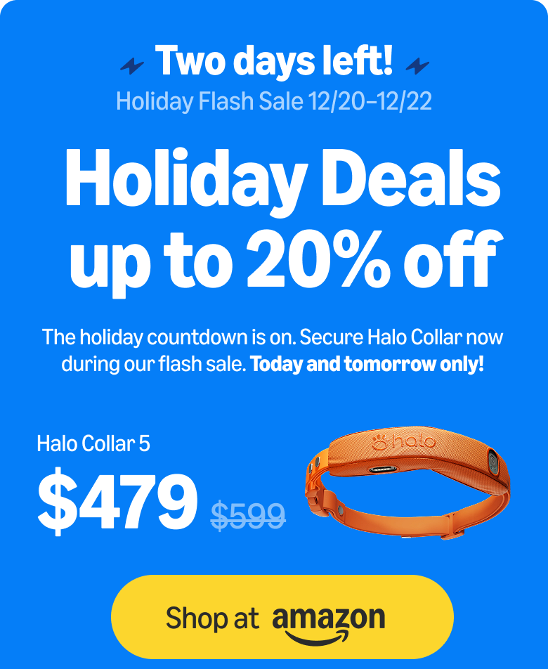 20% off Halo Collar 5: holiday flash sale ends soon. Order on Amazon for delivery by Christmas. Secure Halo Collar 5 at 20% off during our flash sale, today and tomorrow only. Don’t miss our lowest price of the season.