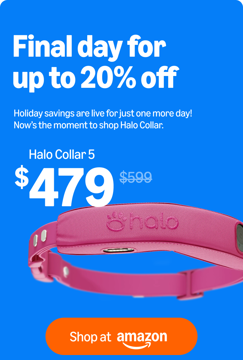 Last chance! 20% off ends today. Holiday savings are live for just one more day! Now is the moment to shop Halo Collar at 20% off. Flash sale ends today!