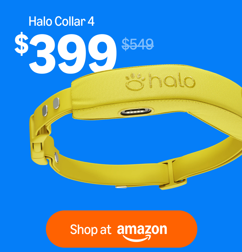 Halo 4