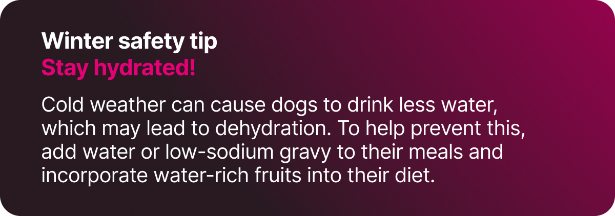 Winter safety tip. Stay hydrated!